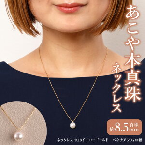 yӂ邳Ɣ[ŁzK18 {^ p[lbNX 1 ^8.5mm CG[S[h ^ Vv p[ tH[}  w Ǝ LO a j 蕨 ig 