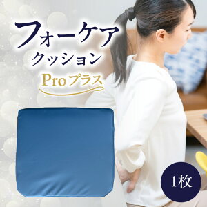 yӂ邳Ɣ[Łzɗ\hɁÏU tH[PANbVyIׂށzProAir ProvX tH[PA NbV ̈U  \h fXN[N PANbV  w h