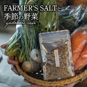 yӂ邳Ɣ[ŁzFARMER'S SALT{G߂̖6ށ@XpCX  ≖  \g  gbsO xW^u _sgp _  ɂɂ ubNybp[  ≖  K100