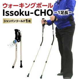 【ふるさと納税】ウォーキングポール Issoku-CHO（1足長） シャンパンゴールド 1本 杖 歩行補助 特許取得 グッドデザイン賞 アウトドアスポーツ 山登り トレッキング ハイキング 登山 ウォーキング R17008