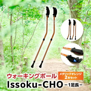 【ふるさと納税】ウォーキング Issoku-CHO(1足長) 【選べるカラー:シャンパンゴールド/オールブラック/ネイビーブルー/メタリックオレンジ 各2本セット】 大分県 大分市 2本セット ウォー