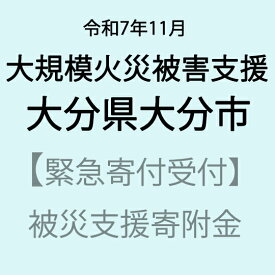【ふるさと納税】【令和7年11月大分県大分市大規模火災被害支援緊急寄附受付】大分県大分市災害応援寄附金（返礼品はありません）