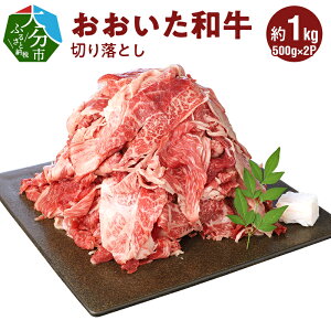 yӂ邳Ɣ[Łza ؂藎Ƃ i500g×2pbN v1.0kgj Y 啪Y  uh L㋍ 4ȏ A4 A5  ؂藎  Ă ē o[xL[ uߕ 