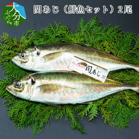 楽天市場 大分県 関あじの通販