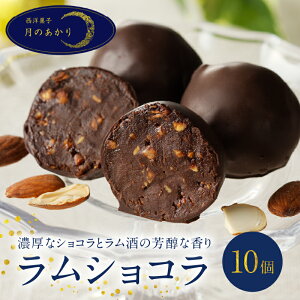 【ふるさと納税】チョコレート ラムショコラ 10個入り ラ...
