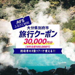 【ふるさと納税】《レビューキャンペーン》 【30,000円...
