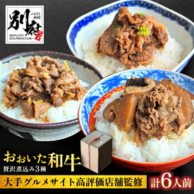 【ふるさと納税】おうちで簡単 高級 日本料理店の味 名店 おおいた和牛 贅沢 煮込み 計6人前 山椒 生姜 椎茸 各2人前 日本料理 別府 廣門 三段重 お取り寄せ グルメ 簡単調理 おかず 晩ご飯 おつまみ 牛丼 ブランド牛 旅行気分 国産 大分県 送料無料