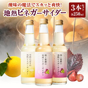 �y�ӂ邳�Ɣ[�Łz�n�M �r�l�K�[ �T�C�_�[�Z�b�g 3�{ ���n���ڂ� �J�{�X �~ ���h ���n�C �n�C�{�[�� �r�l�K�[�r�[�� ��񂲐| �ʎ��| �n�� �_�� �Ö� ������ ���ݔ�� �����i �v���[���g �S��