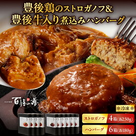 【ふるさと納税】百膳の夢 豊後鶏 ストロガノフ 豊後牛入り 煮込み ハンバーグ ギフト ロシア料理 洋食 簡単調理 湯煎 温めるだけ おかず おつまみ 夜食 晩ご飯 レトルト お取り寄せ グルメ 詰め合わせ おすそ分け 贈り物 プレゼント 国産 別府市 大分県 送料無料