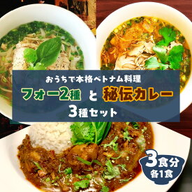 【ふるさと納税】おうちで本格ベトナム料理 3種類 セット チキンフォー トマトチキンフォー サッチャムチキンカレー 3食分 惣菜 麺類 加工品 冷凍食品 簡単調理 おすすめ おかず 夜食 ベトナム料理 チキンカレー トマトソース フォー 米麺 米粉 大分県 別府市 送料無料
