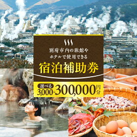 【ふるさと納税】≪選べる返礼品≫ 楽しい旅の思い出を！ 宿泊券 大分県 別府市 ホテル 旅館 温泉 旅行 観光 トラベル 宿泊補助券 チケット クーポン 宿泊 お泊り 別府温泉 別府観光 大分観光 地獄めぐり 地獄蒸し料理 旅 おすすめ 人気 お出かけ 体験型 節約