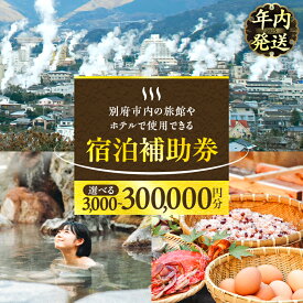 【ふるさと納税】【年内発送】≪選べる返礼品≫ 楽しい旅の思い出を！ 宿泊券 大分県 別府市 ホテル 旅館 温泉 旅行 観光 トラベル 宿泊補助券 チケット クーポン 宿泊 お泊り 別府温泉 別府観光 大分観光 地獄めぐり 地獄蒸し料理 旅 おすすめ 人気 お出かけ 体験型 節約