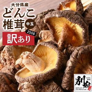 【ふるさと納税】訳あり 大分県産 中玉 どんこ 椎茸 25...