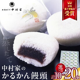 【ふるさと納税】≪選べる返礼品≫【年内発送】【無添加】中村家のかるかん 饅頭 中村家 保存料不使用 無添加 山芋 お菓子 あんこ 和菓子 スイーツ お取り寄せ 郷土菓子 お土産 銘菓 ギフト 贈答 箱入り 個包装 子供 大人 お年寄り こし餡 大分 別府 送料無料