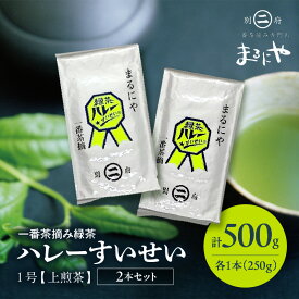 【ふるさと納税】一番茶摘み緑茶ハレーすいせい1号(上煎茶)250g 2本セット 飲料 飲み物 国産 食品 緑茶 茶葉 深蒸し グリーンティー グリーン茶 ティータイム 濃厚 旨み おもてなし お茶会 人気 おすすめ ギフト 贈り物 贈答 プレゼント お取り寄せ グルメ 別府市 送料無料