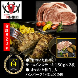【ふるさと納税】おおいた和牛三昧 サーロイン ステーキ ＆ ハンバーグ 肉 牛肉 国産 真空パック 小分け 個包装 A4 A5 黒毛和牛 おすすめ 食品 加工品 ステーキ丼 焼肉 高級 贅沢 ご褒美 おかず 晩ご飯 お弁当 オリジナル 贈り物 ギフト 贈答 冷凍 大分県 別府市 送料無料