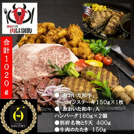 【ふるさと納税】肉盛 肉は別腹盛り 肉 牛肉 鶏肉 豚肉 真空パック 小分け 個包装 A4 A5 黒毛和牛 おすすめ 食品 加工品 サーロイン ステーキ ハンバーグ とり天 牛のたたき 贅沢 ご褒美 おかず 晩ご飯 お弁当 オリジナル 贈り物 ギフト 贈答 冷凍 大分県 別府市 送料無料