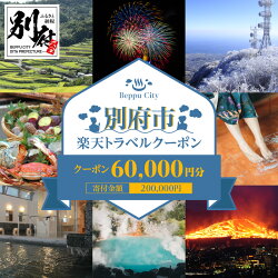 【ふるさと納税】大分県別府市の対象施設で使える楽天トラベル...