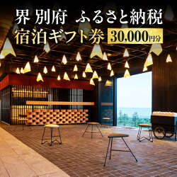 【ふるさと納税】 《レビューキャンペーン》 宿泊券 大分県...
