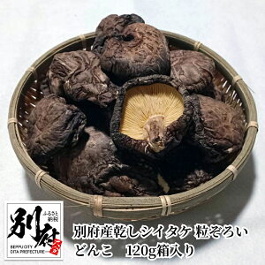 yӂ邳Ɣ[Łző VC^P 낢 ǂ 120g  1 ʕ{Y Hn͔| `@ aH o` Mtg 蕨 v[g yY 啪 ʕ{s Hi ̂  