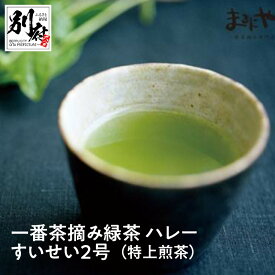 【ふるさと納税】一番茶 摘み 緑茶 ハレーすいせい2号 特上煎茶 100g 2袋 お茶 飲料 飲み物 グリーンティー グリーン茶 ティータイム お返し 深蒸し茶 オリジナルブレンド 高品質 九州産 国産 別府市 大分県 送料無料