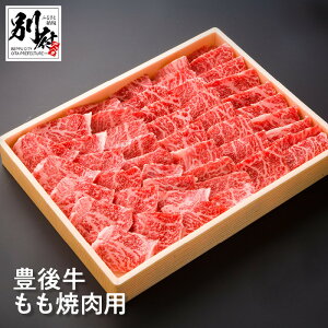 yӂ邳Ɣ[ŁzL㋍  ēp 500g  r[t  јa uh Ԑg BBQ o[xL[ AEghA Lv OsO ӂ  ܂ ٓ ґ J LO