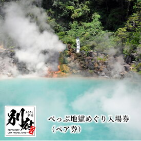 【ふるさと納税】べっぷ 地獄めぐり 入場券 ペア券 招待券 チケット 温泉 観光スポット 旅行 海地獄 血の池地獄 龍巻地獄 白池地獄 鬼石坊主地獄 鬼山地獄 かまど地獄 足湯 見学 観光名所 おすすめ 散策 観賞 日帰り 大分県 別府市