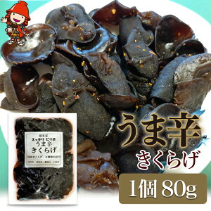yӂ邳Ɣ[Łzܐh炰 80g×1 | ܐh ܐh炰 炰 LNQ ؎ hq  т̂ Ђ ώ y  ܂ Y BY 啪 Îs