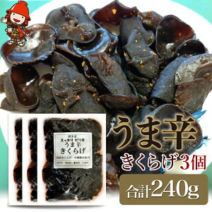 yӂ邳Ɣ[Łzܐh炰 80g×3 | ܐh ܐh炰 炰 LNQ ؎ hq  т̂ Ђ ώ y  ܂ Y BY 啪 Îs