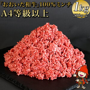 yӂ邳Ɣ[Łz  a 100 ~` 1kg ( 500g×2 ) | a ғ Ђ L㋍ 啪Y  Y Ⓚ 