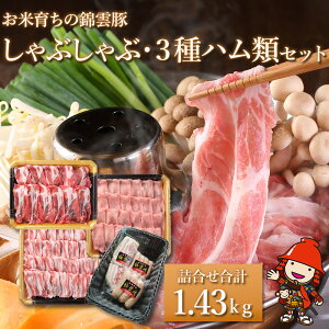 yӂ邳Ɣ[ŁzĈ炿̋щ_ Ԃԗp 1kg3̃nރZbg uh  BY 啪Y Îs Y Ⓚ 