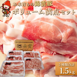 yӂ邳Ɣ[Łz{[_ щ_ uh 5 v1.5kg |   ɂ ɂ  ؓ Zbg [X o   ~` lߍ킹 uh Y |[N BY Y 