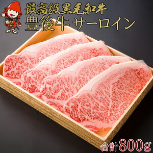 yӂ邳Ɣ[ŁzL㋍T[CXe[L v800g | 200g×4 4ȏ T[C Xe[L uh L㋍   ɂ ɂ   Y 啪Y Ⓚ  啪 Îs
