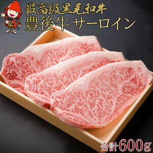 yӂ邳Ɣ[ŁzL㋍ T[CXe[L v600g | 200g×3 4ȏ Xe[L uh   Y 啪Y Ⓚ  啪 Îs