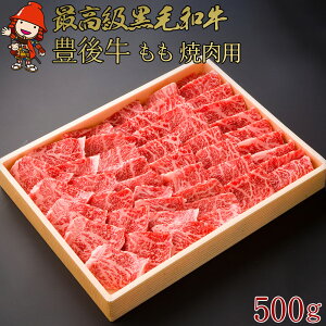 yӂ邳Ɣ[ŁzL㋍  ēp 500g |  ē Ă uh   Y 啪Y Ⓚ  啪 Îs