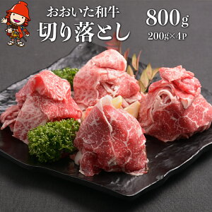 yӂ邳Ɣ[Łza ؂藎Ƃ v800g i200g×4pbNj | L㋍  o ē Ă ؗ ؗƂ  4ȏ   ɂ ɂ   a Y BY 啪