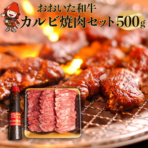 yӂ邳Ɣ[Łzyʌz aJrĂZbg 500g _t | L㋍ a     ɂ ɂ Jr Ă ē 啪Y BY Y Îs Ⓚ 