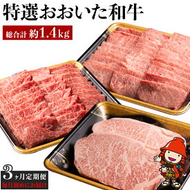 【ふるさと納税】【3ヶ月定期便】 特選おおいた和牛 合計1.4kg 毎月お届け タレ付き | 焼肉 上カルビ 上ロース サーロインステーキ ステーキ お肉 肉 牛 牛肉 和牛 3回 定期 定期便 国産 九州産 大分県産 冷凍 大分県 中津市 送料無料