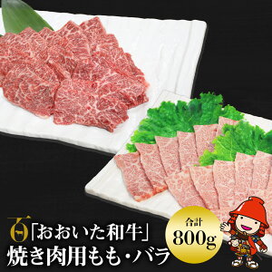 yӂ邳Ɣ[Łza  o ēp e400g (v800g) |   ɂ ɂ   L㋍ a Y lߍ킹 ē Ă ʌ uh ~[gNXg 啪Y 