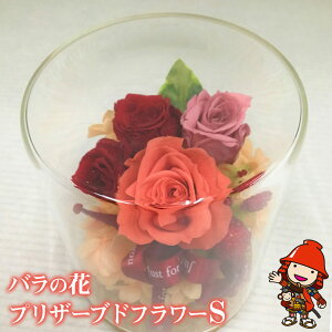 yӂ邳Ɣ[Łzỏ vU[uht[ STCY W9.5cm*D9.5cm*H12cm | hCt[ o KN   t[ ̓ CeA  IV v[g Mtg  蕨 