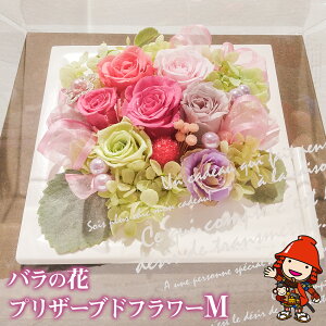yӂ邳Ɣ[Łzỏ vU[uht[ MTCY W22cm×D13.5cm×H19.5cm | hCt[ o KN   t[ ̓ CeA  IV v[g Mtg  