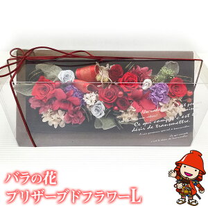 yӂ邳Ɣ[Łzỏ vU[uht[ LTCY W10.5cm*D34cm*H15cm yʌz | hCt[ o KN   t[ ̓ CeA  IV v[g Mt
