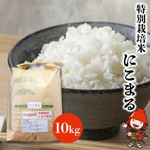 yӂ邳Ɣ[Łzʍ͔| ɂ܂ 10kg |        ͂ 10L 啪Y BY 啪 Îs