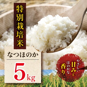 yӂ邳Ɣ[Łzʍ͔| Ȃق̂ 5kg |        ͂ Y 5L 啪Y BY 啪 Îs