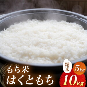 yӂ邳Ɣ[ŁznkY Iׂ e 5kg / 10kg |       ͂Ƃ   Y 5L 10L 啪Y BY 啪 Îs