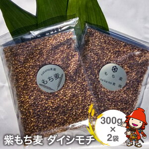 yӂ邳Ɣ[ŁzRXƌ̎Runakanov̊󏭂ȁwx_CV`300g×2 | 600g 600O    _CV`  G   Y  啪 Îs 