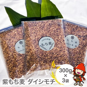 yӂ邳Ɣ[ŁzRXƌ̎Runakanov̊󏭂ȁwx_CV`300g×3 | 900g 900O    _CV`  G   Y  啪 Îs 