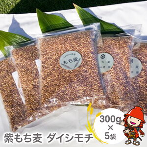 yӂ邳Ɣ[ŁzRXƌ̎Runakanov̊󏭂ȁwx_CV`300g×5 |    _CV`  G   Y  1500g 1500O 1.5kg 1.5L 