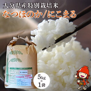 yӂ邳Ɣ[Łz ߘa7NY ʍ͔| Ȃق̂ ɂ܂ 5kg×1 | 啪ÎsOY ͔|Ԓ _sgp   Iׂ Y     _ƒ @_ 啪Y 