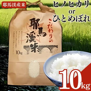 yӂ邳Ɣ[Łznk̔ nk 10kg | qmqJ܂͂ЂƂ߂ڂ |        ͂ 10L 啪 Îs